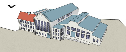 suedzentrale fledermaus